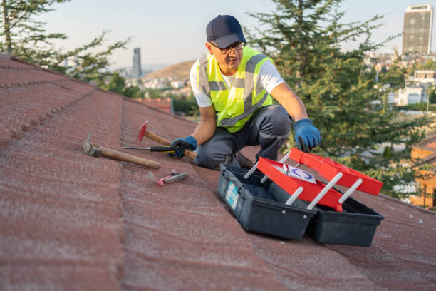 Best Insulated Siding Installation  in Reynoldsville, PA